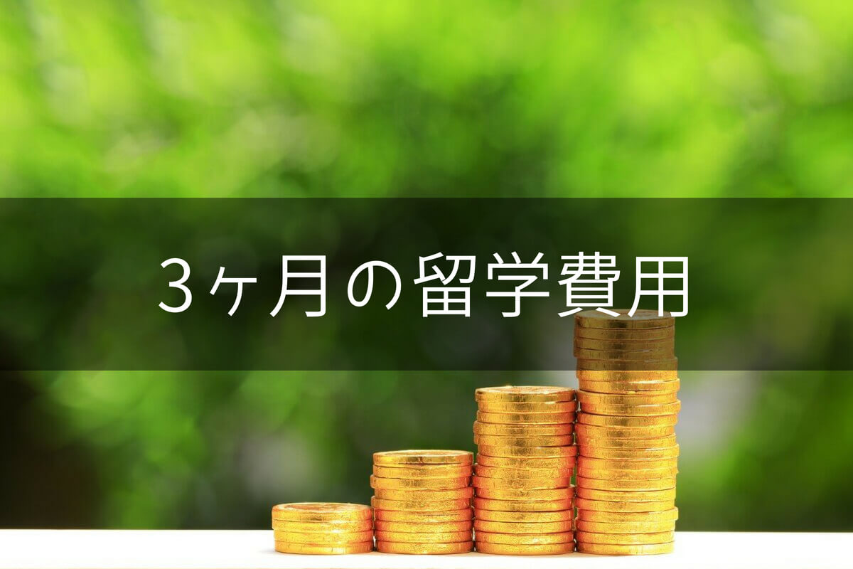 ニューヨーク留学の口コミ 評判 費用や学校のおすすめ情報ならschool With ニューヨーク留学の口コミ 評判 費用や学校のおすすめ情報ならschool With